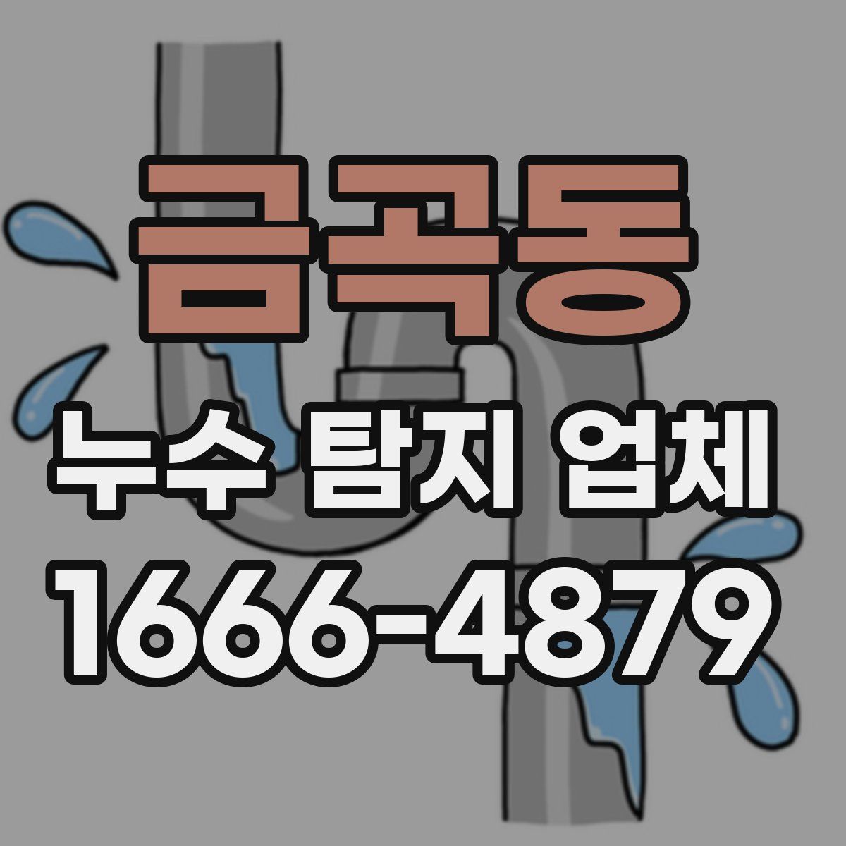 금곡동 누수 탐지 업체