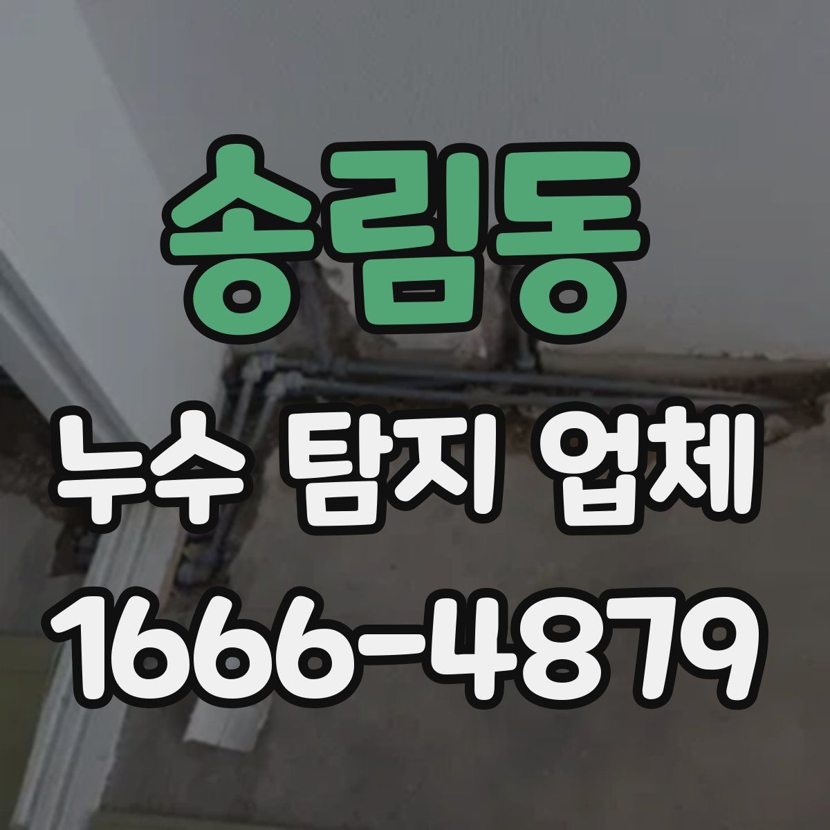 송림동 누수 탐지 업체