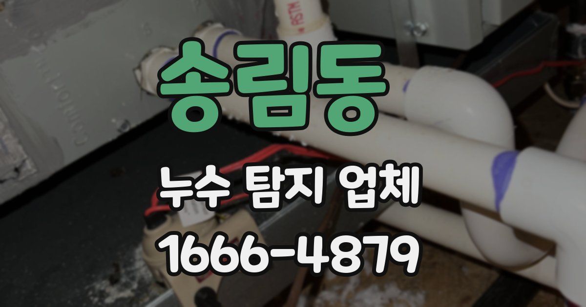 송림동 누수 탐지 업체