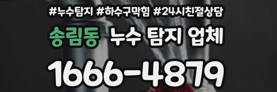 송림동 누수 탐지 업체