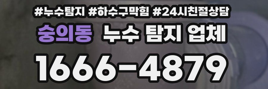 숭의동 누수 탐지 업체