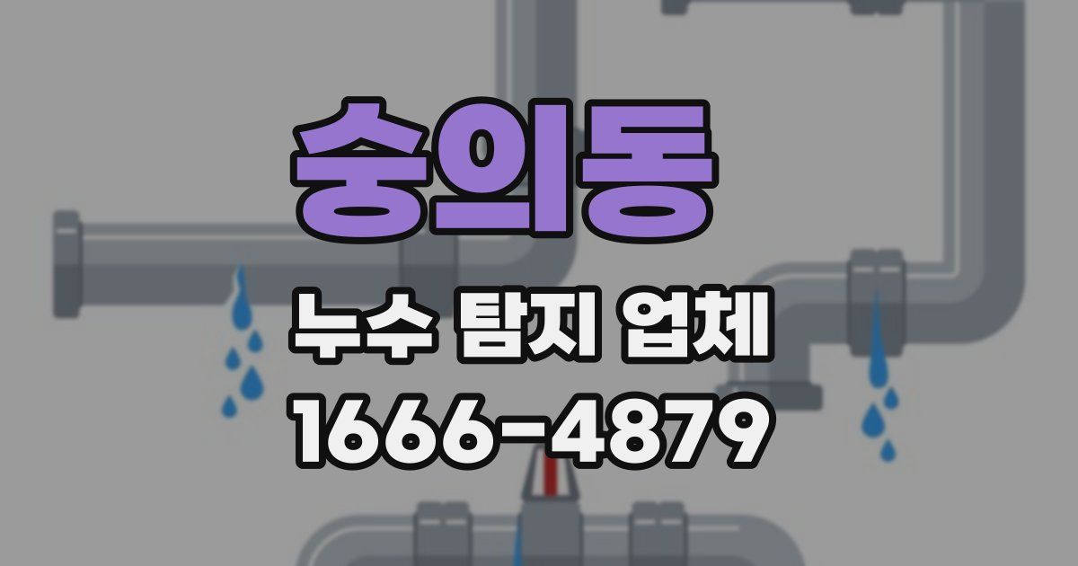 숭의동 누수 탐지 업체