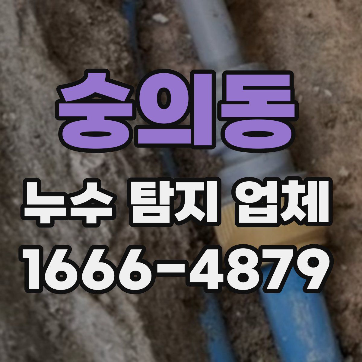 숭의동 누수 탐지 업체