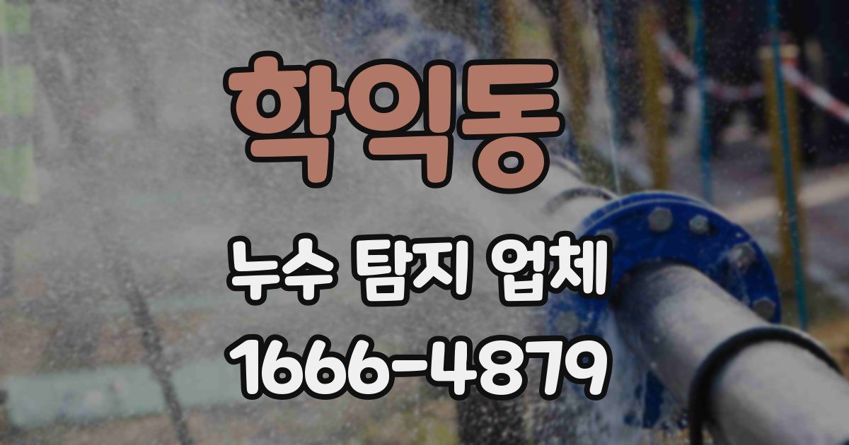 학익동 누수 탐지 업체