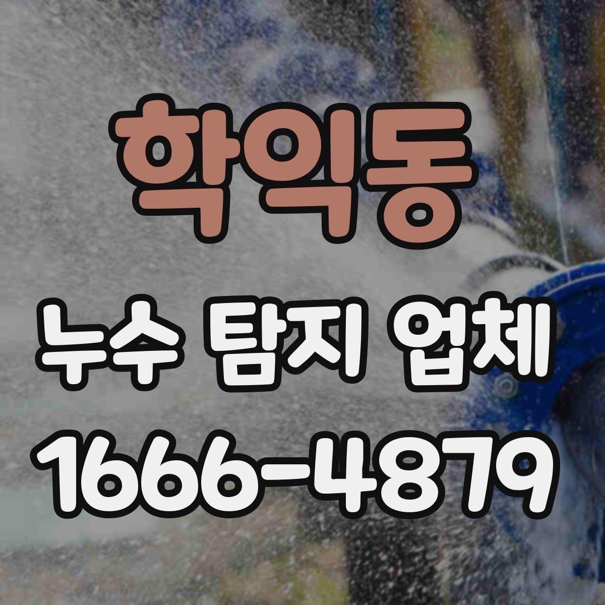 학익동 누수 탐지 업체