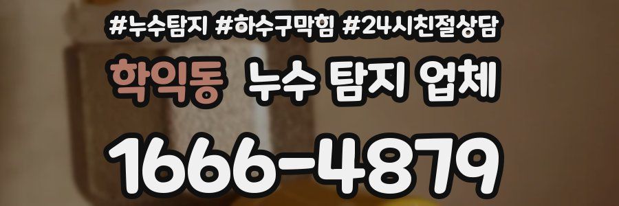 학익동 누수 탐지 업체