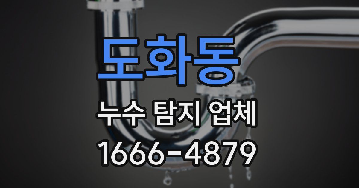 도화동 누수 탐지 업체