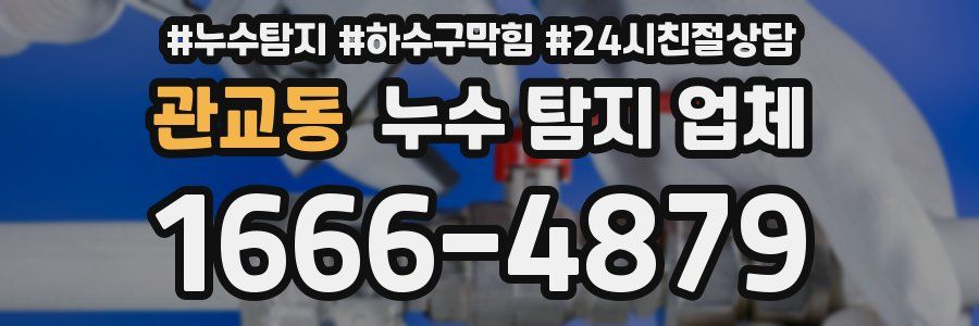 관교동 누수 탐지 업체