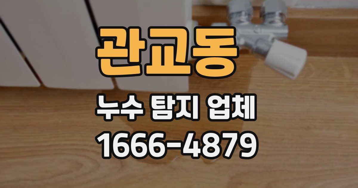 관교동 누수 탐지 업체