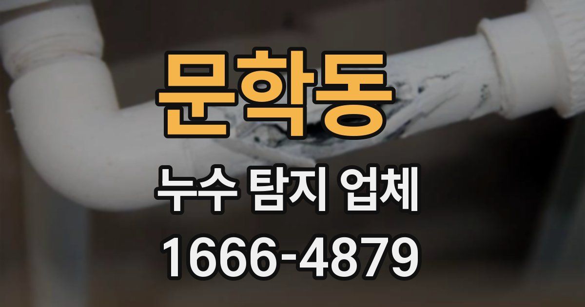 문학동 누수 탐지 업체