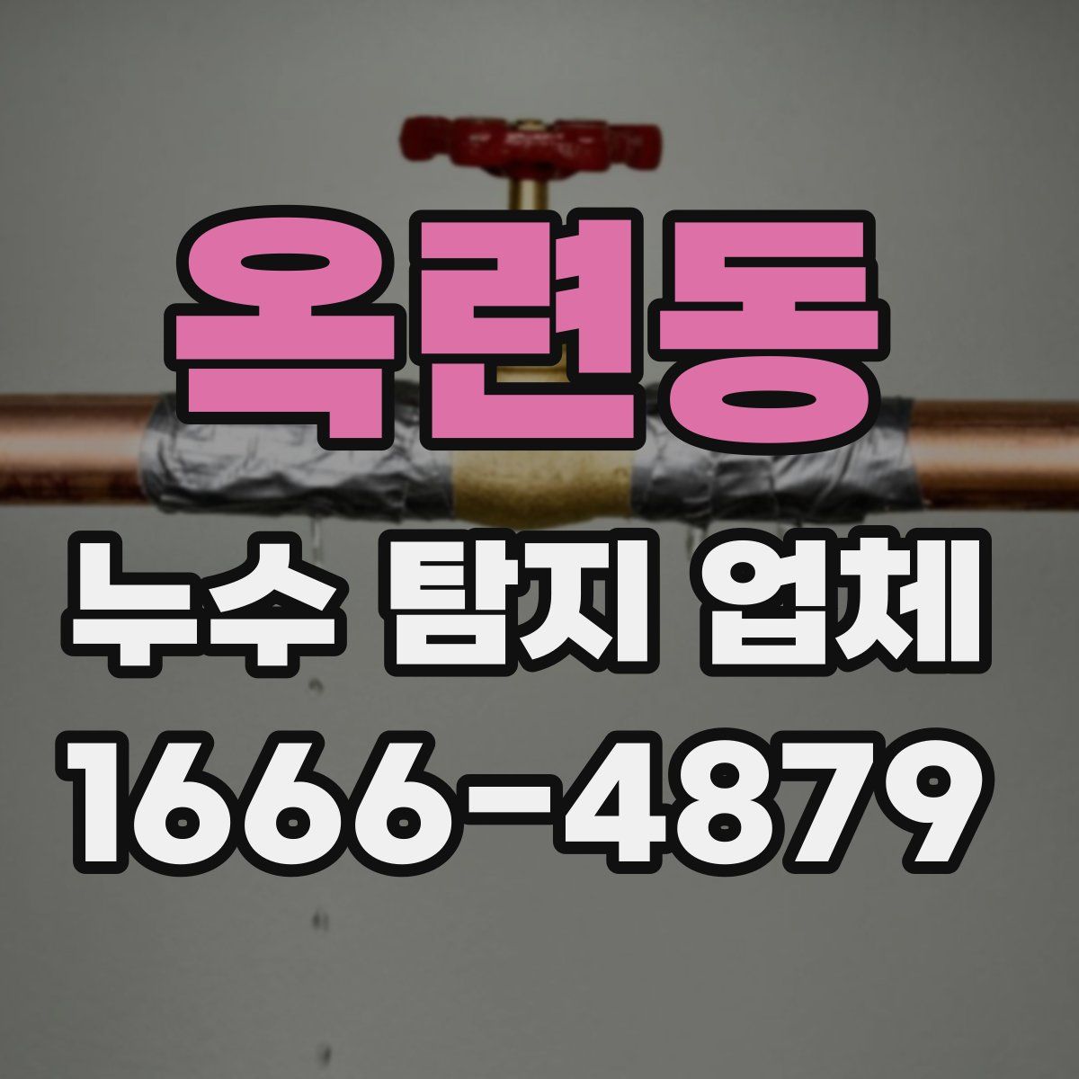 옥련동 누수 탐지 업체