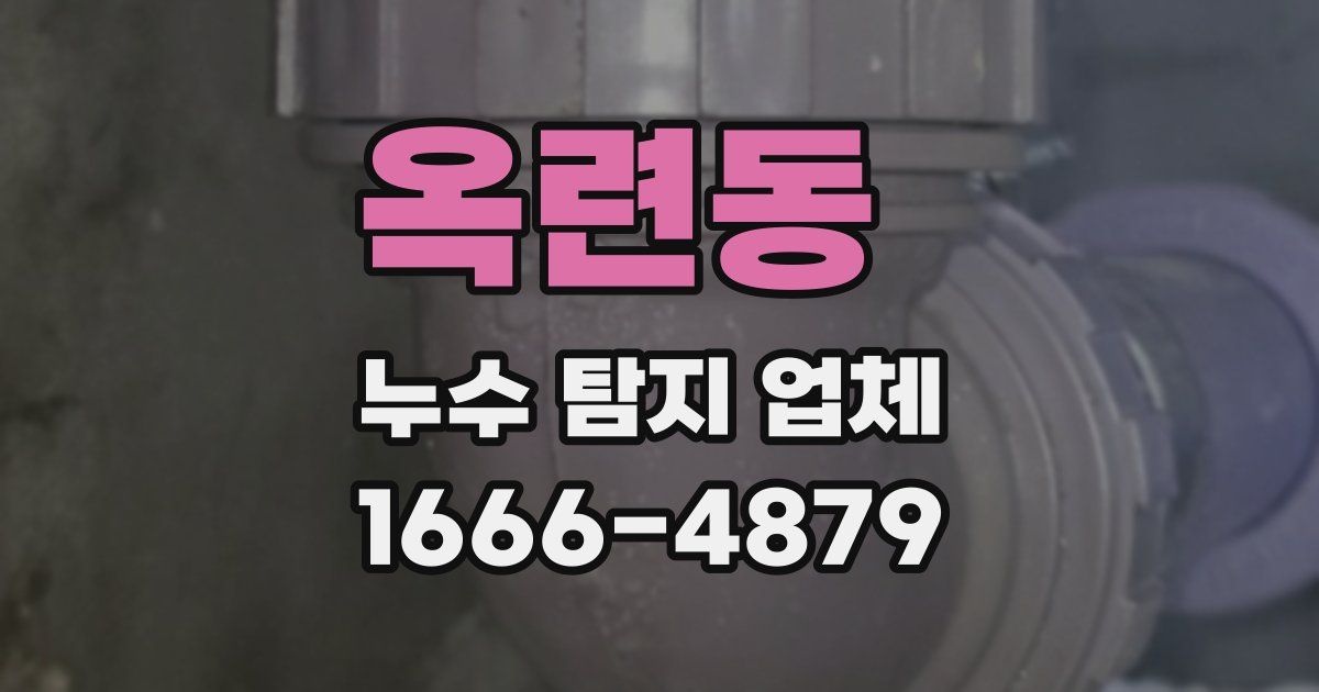 옥련동 누수 탐지 업체