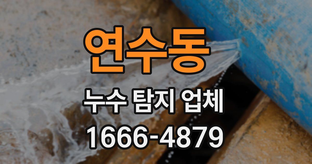 연수동 누수 탐지 업체
