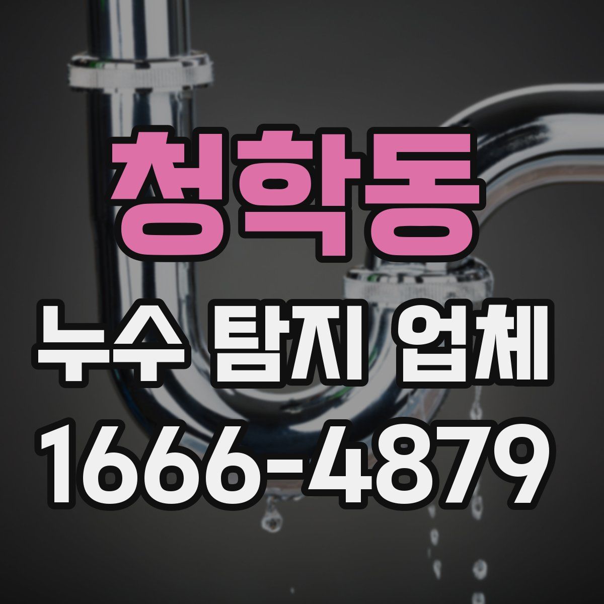 청학동 누수 탐지 업체