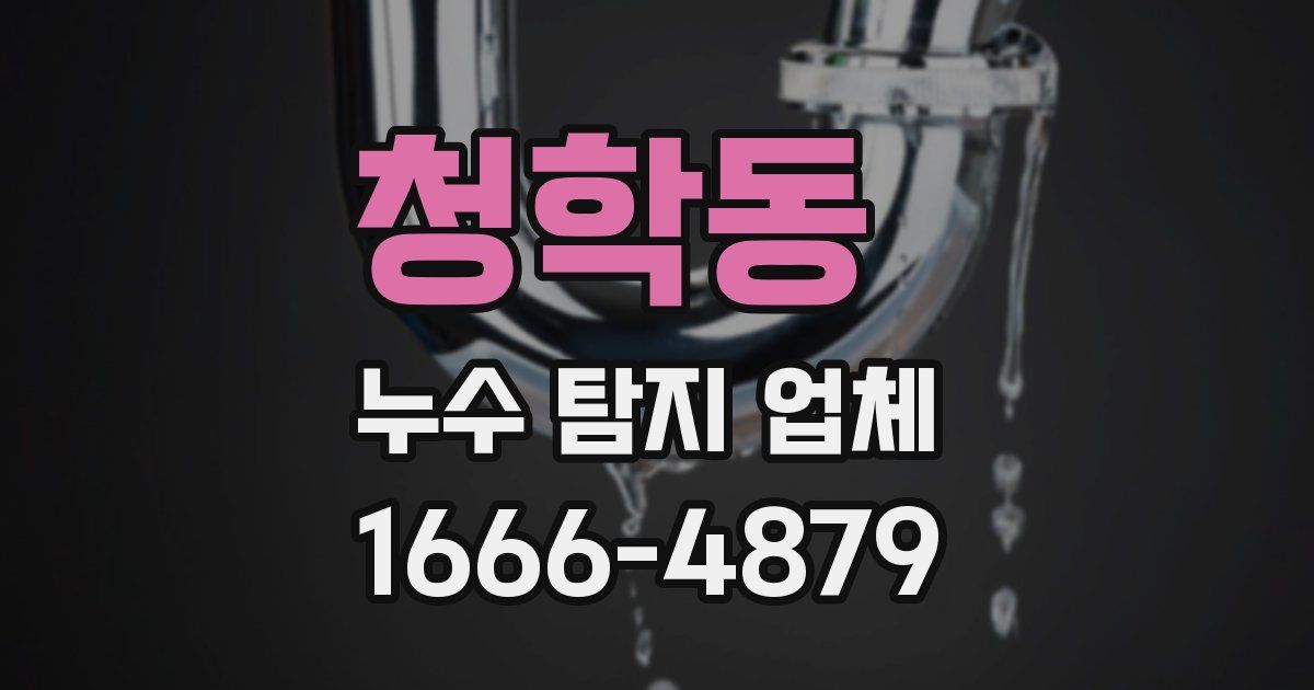 청학동 누수 탐지 업체