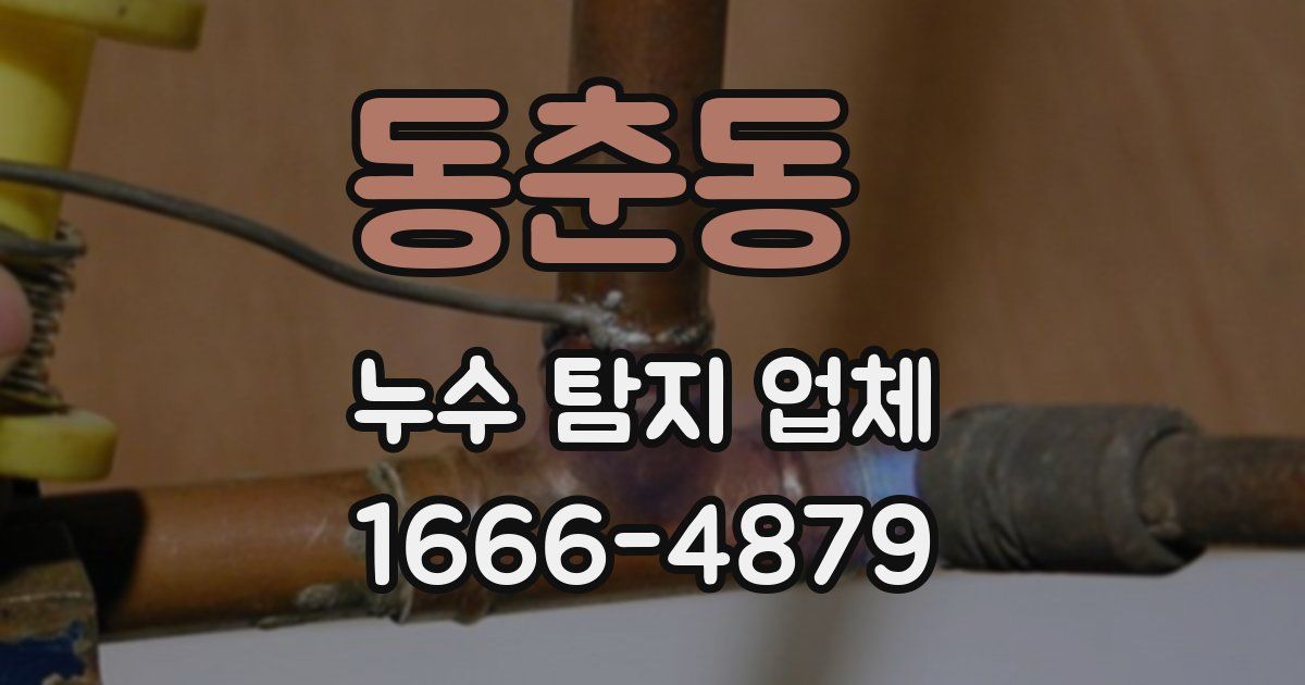 동춘동 누수 탐지 업체