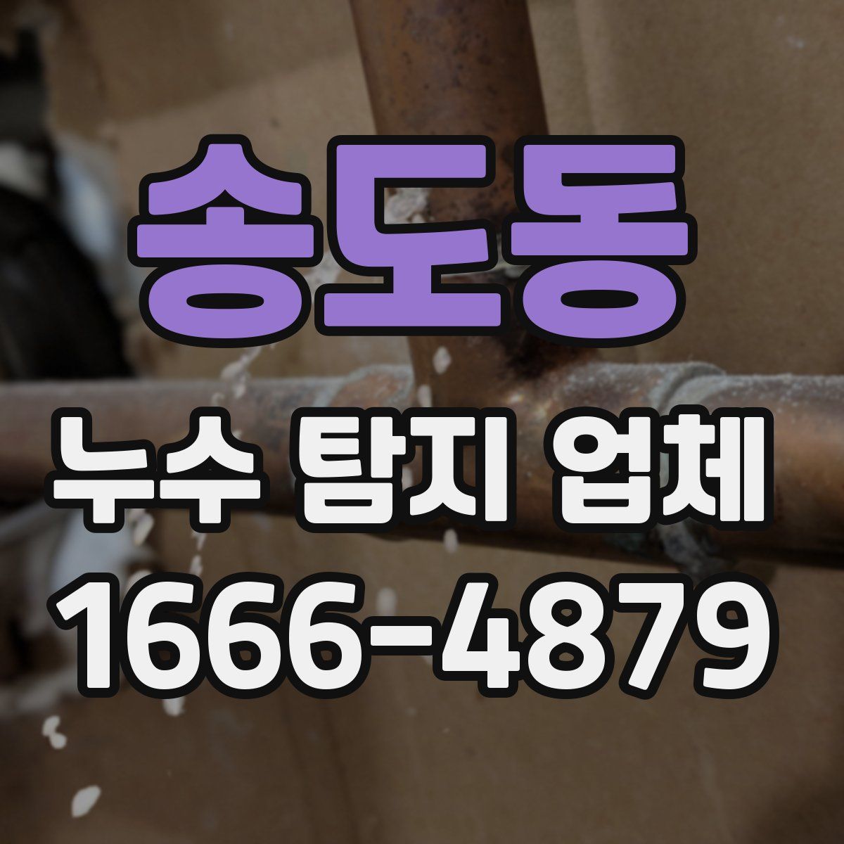 송도동 누수 탐지 업체