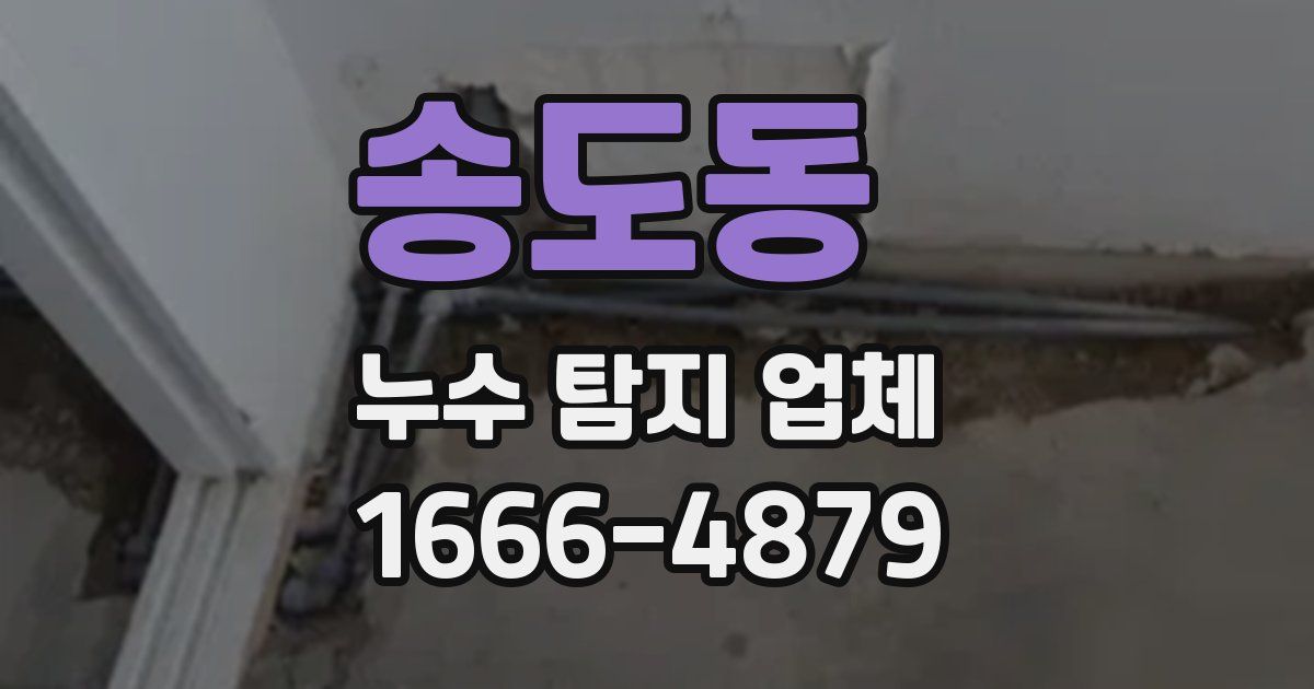 송도동 누수 탐지 업체