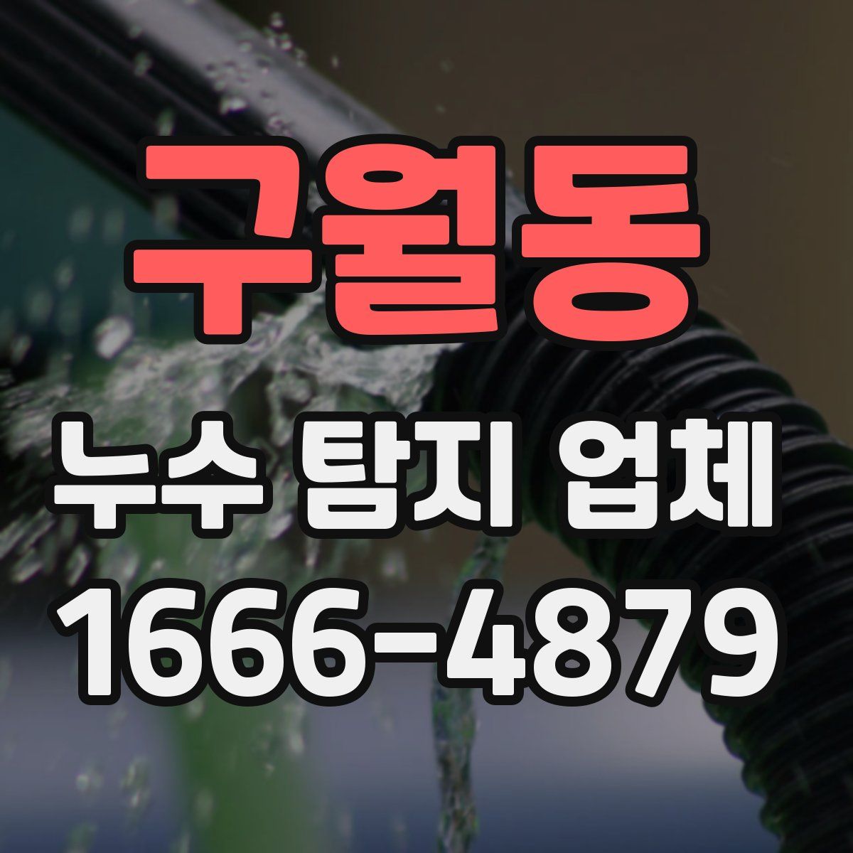 구월동 누수 탐지 업체