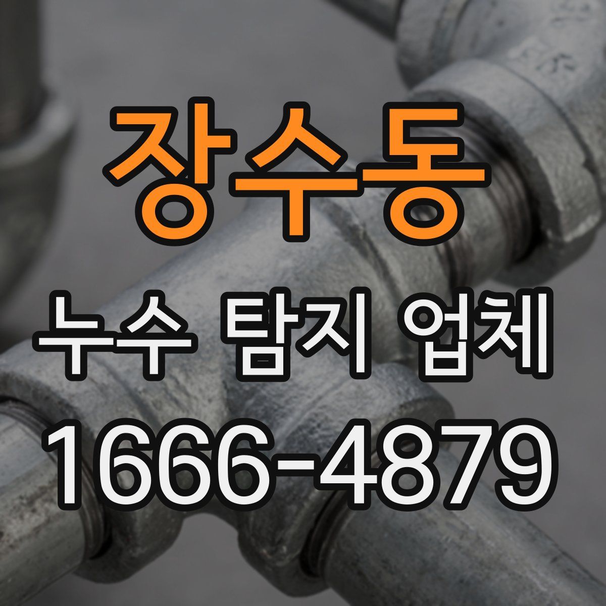 장수동 누수 탐지 업체