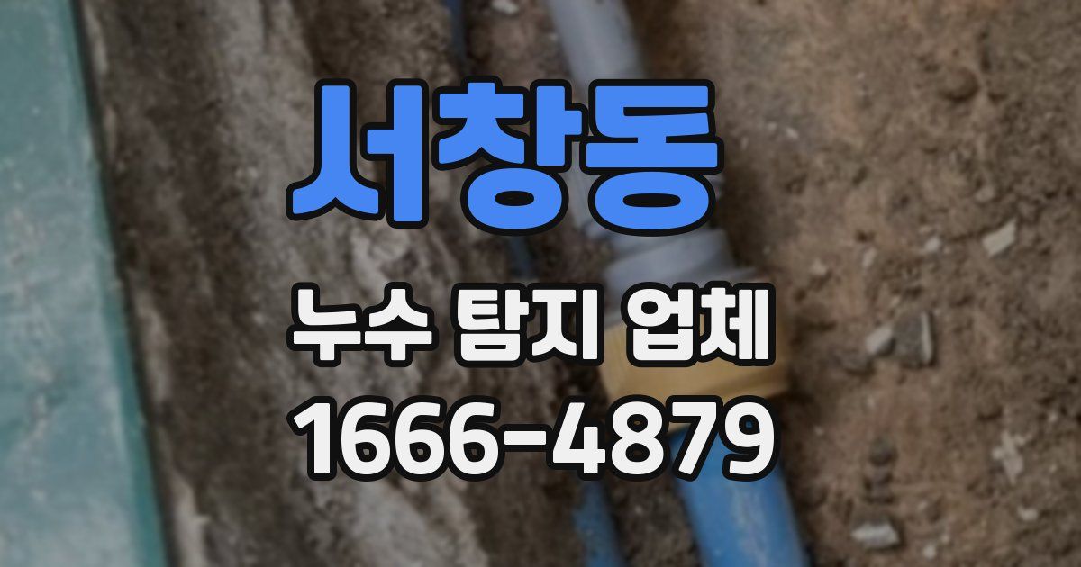 서창동 누수 탐지 업체