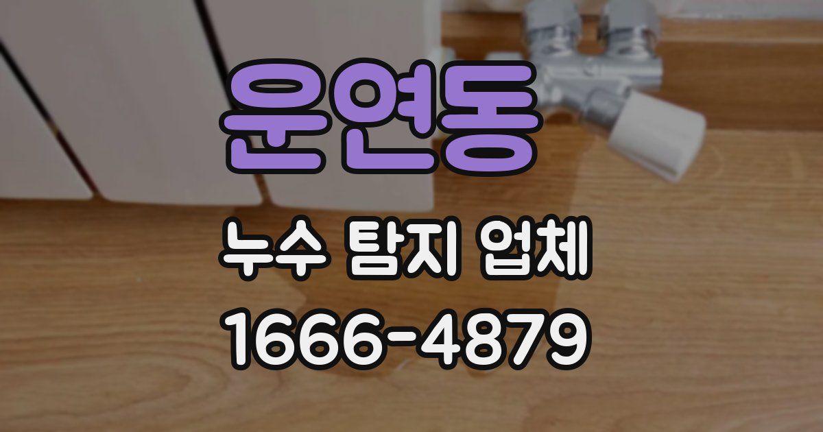 운연동 누수 탐지 업체