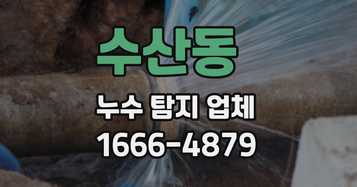 수산동 누수 탐지 업체
