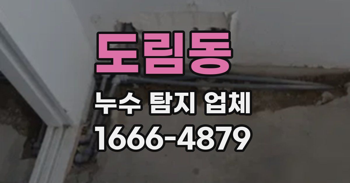 도림동 누수 탐지 업체