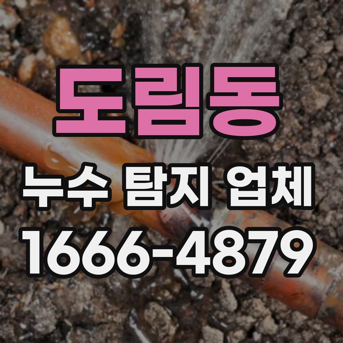 도림동 누수 탐지 업체