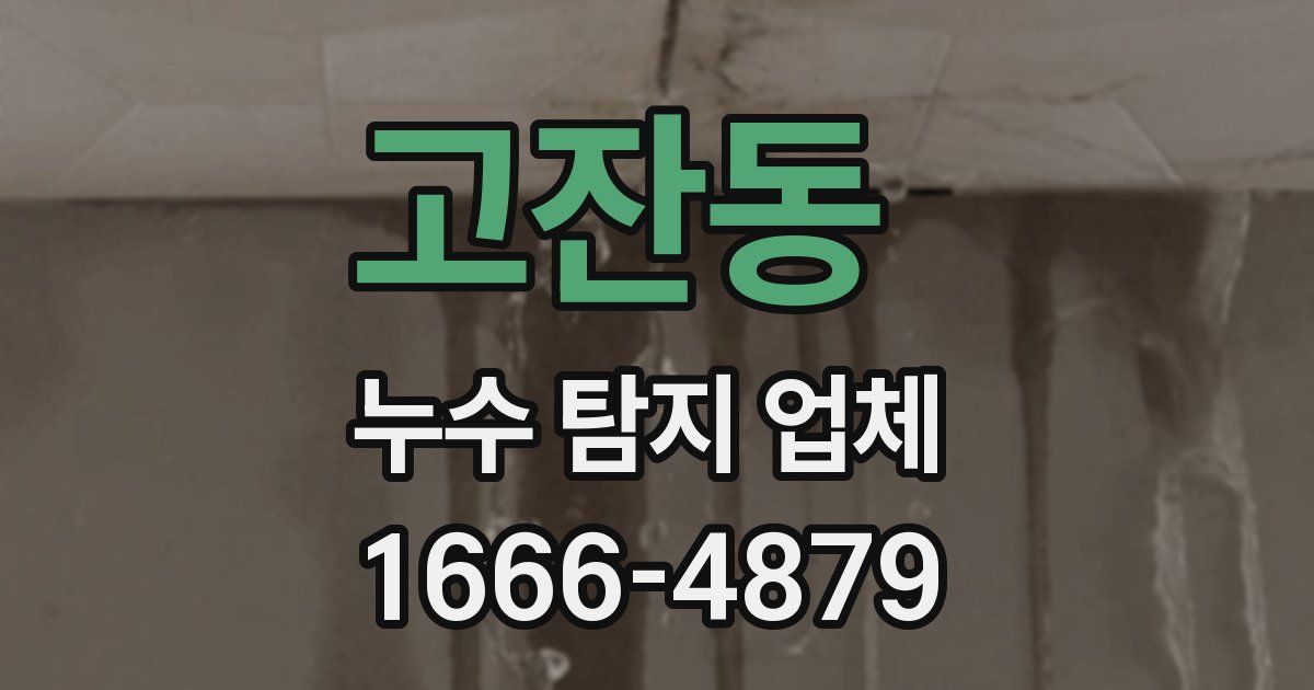 고잔동 누수 탐지 업체