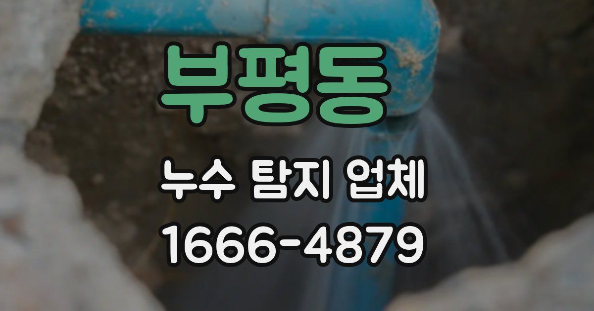 부평동 누수 탐지 업체