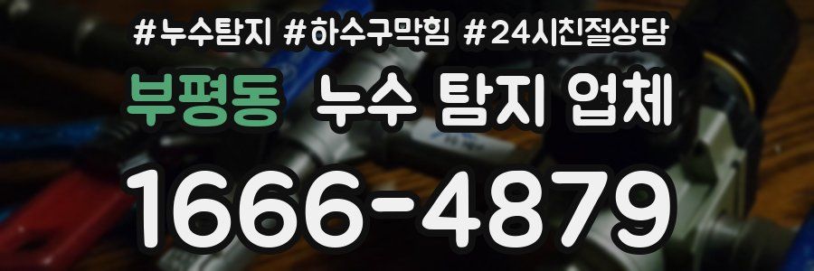 부평동 누수 탐지 업체