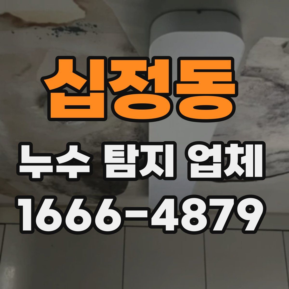 십정동 누수 탐지 업체