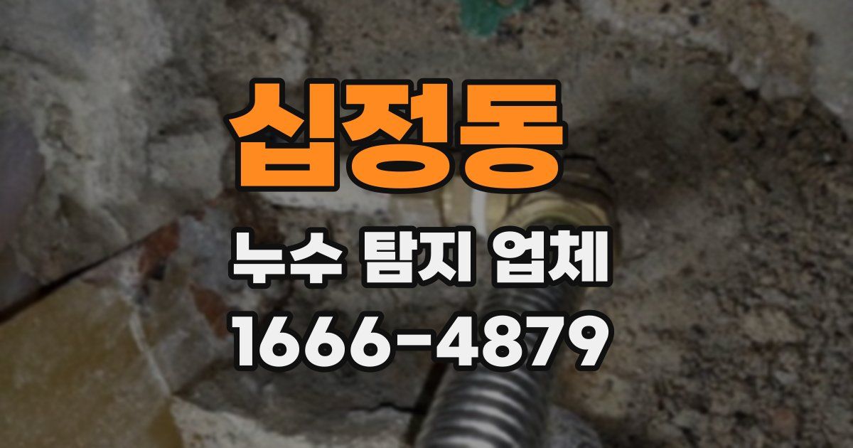 십정동 누수 탐지 업체