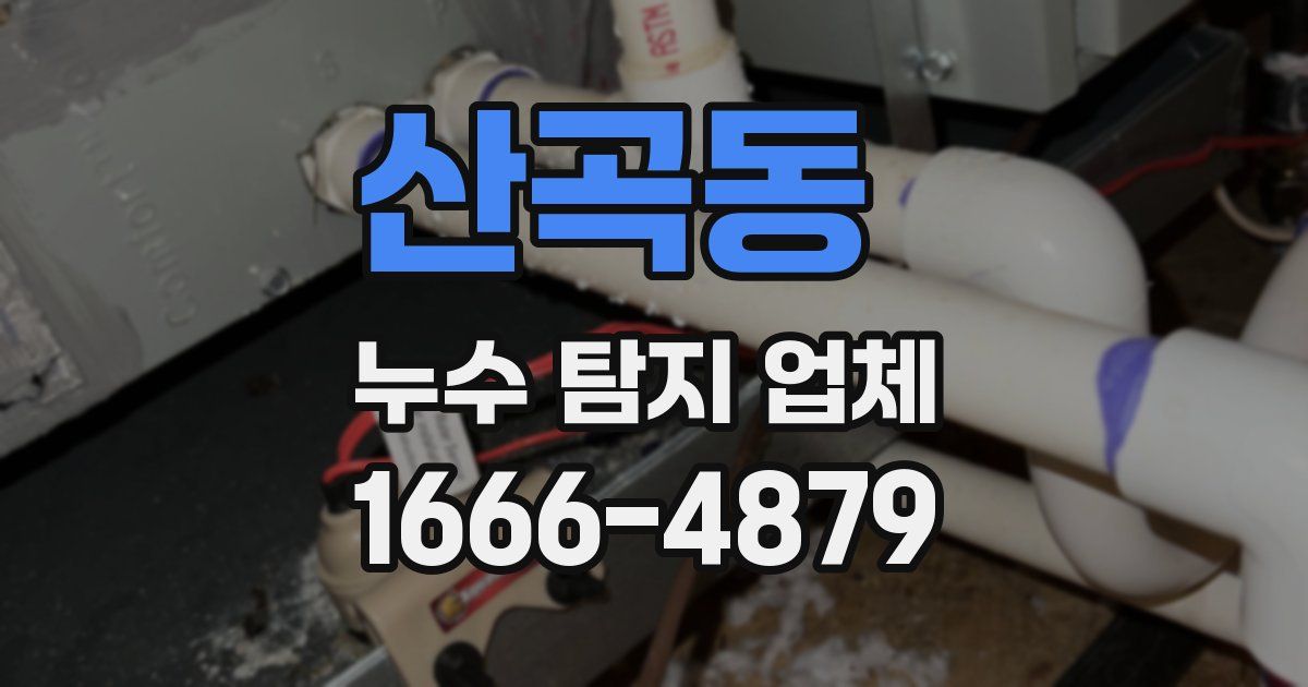 산곡동 누수 탐지 업체