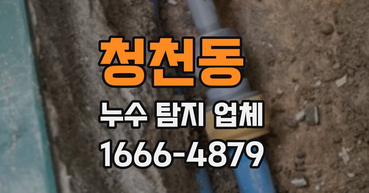 청천동 누수 탐지 업체