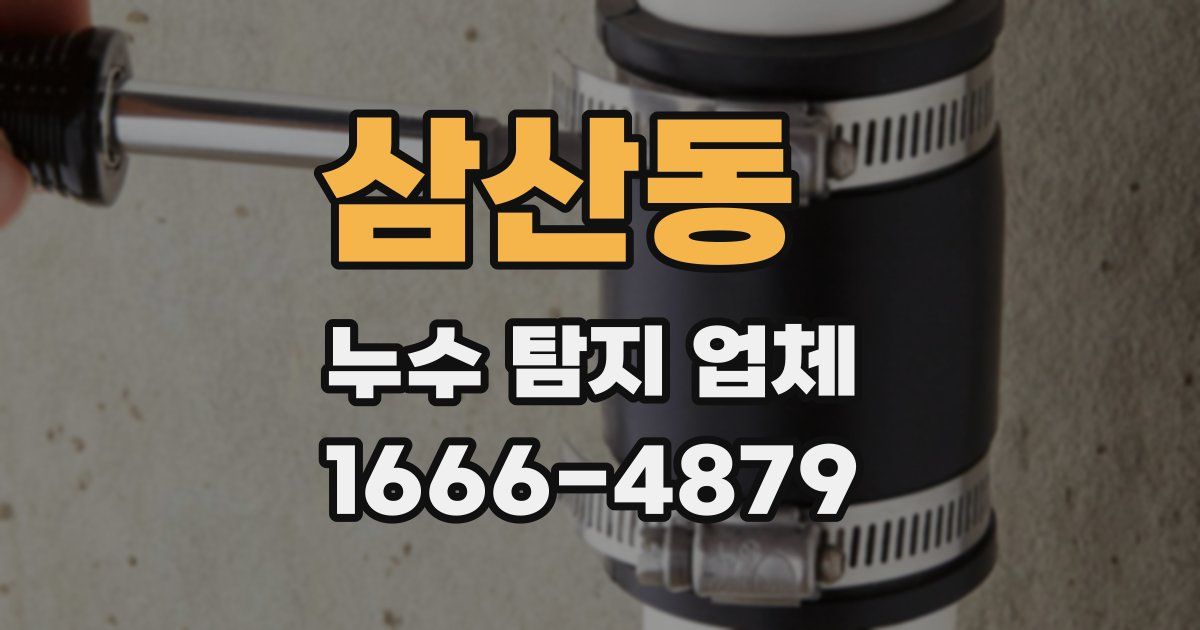 삼산동 누수 탐지 업체