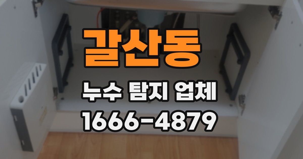 갈산동 누수 탐지 업체