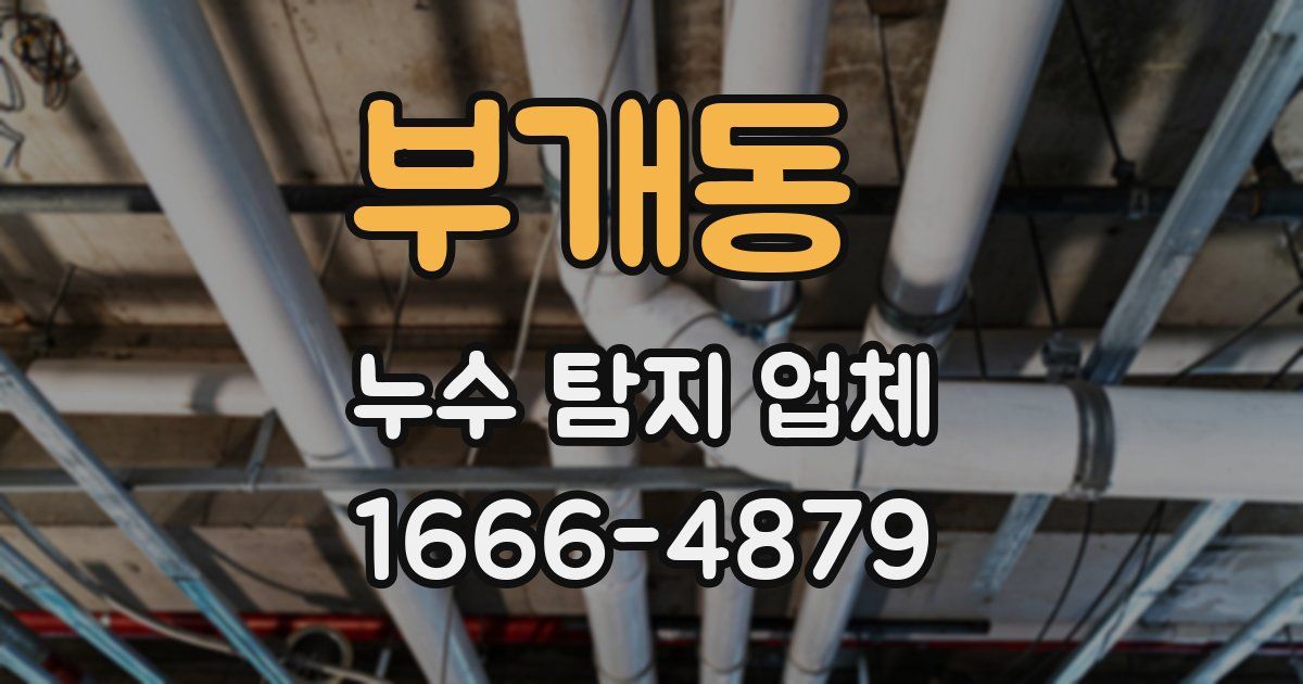 부개동 누수 탐지 업체