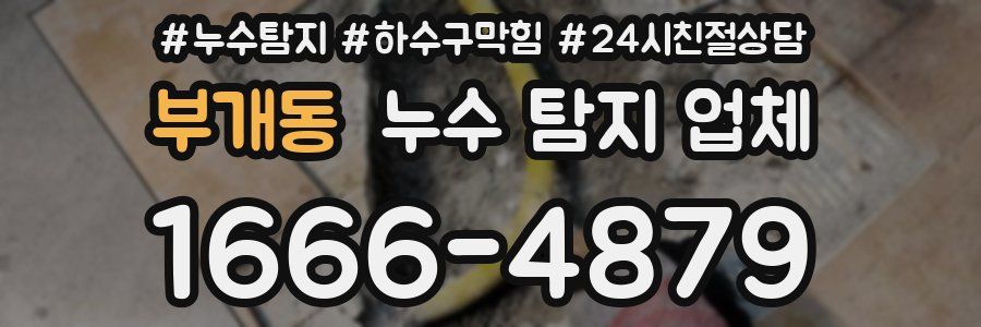 부개동 누수 탐지 업체