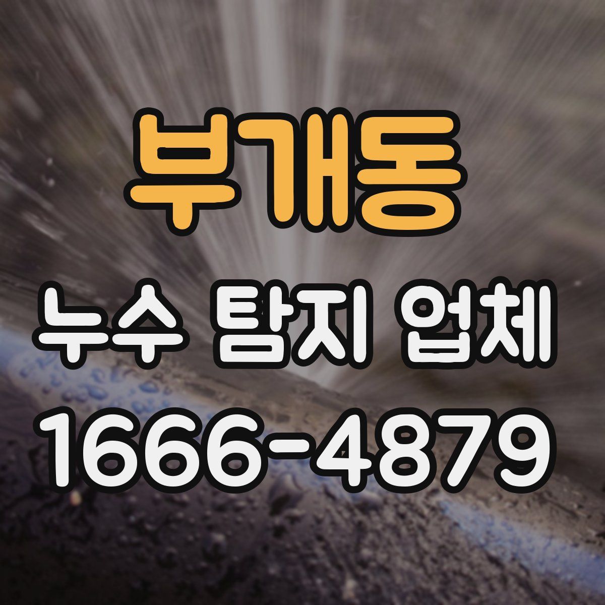 부개동 누수 탐지 업체