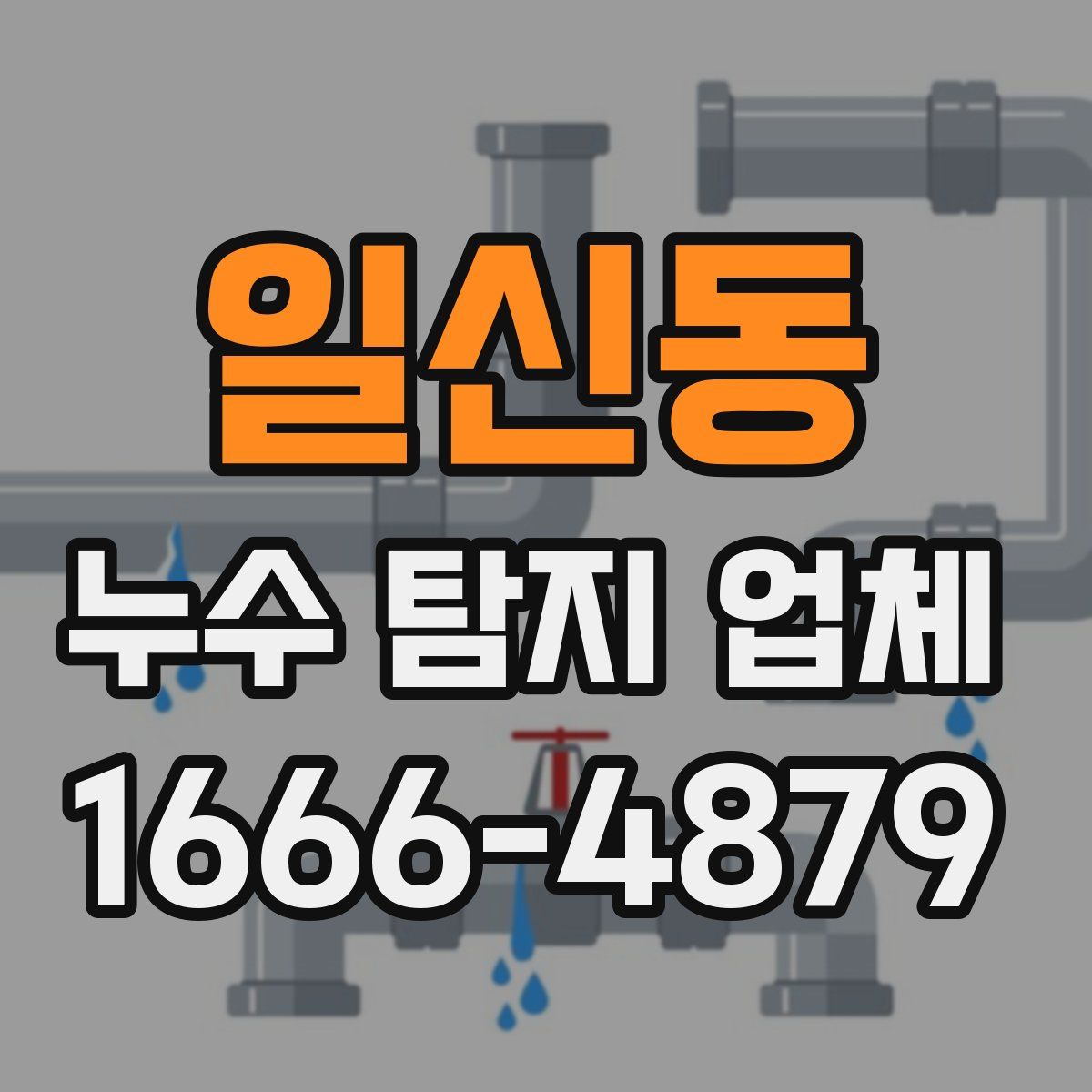 일신동 누수 탐지 업체