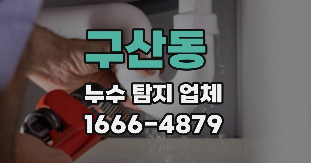 구산동 누수 탐지 업체