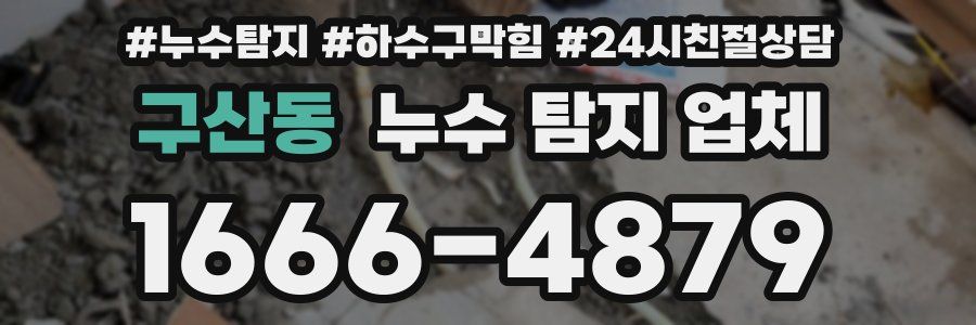 구산동 누수 탐지 업체
