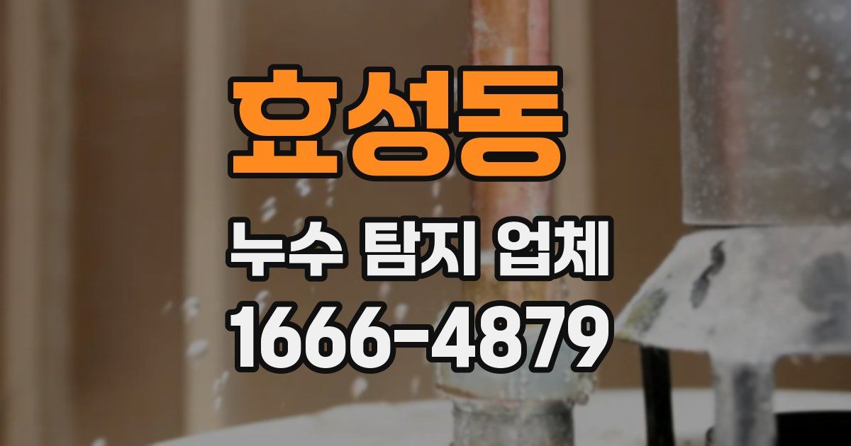 효성동 누수 탐지 업체