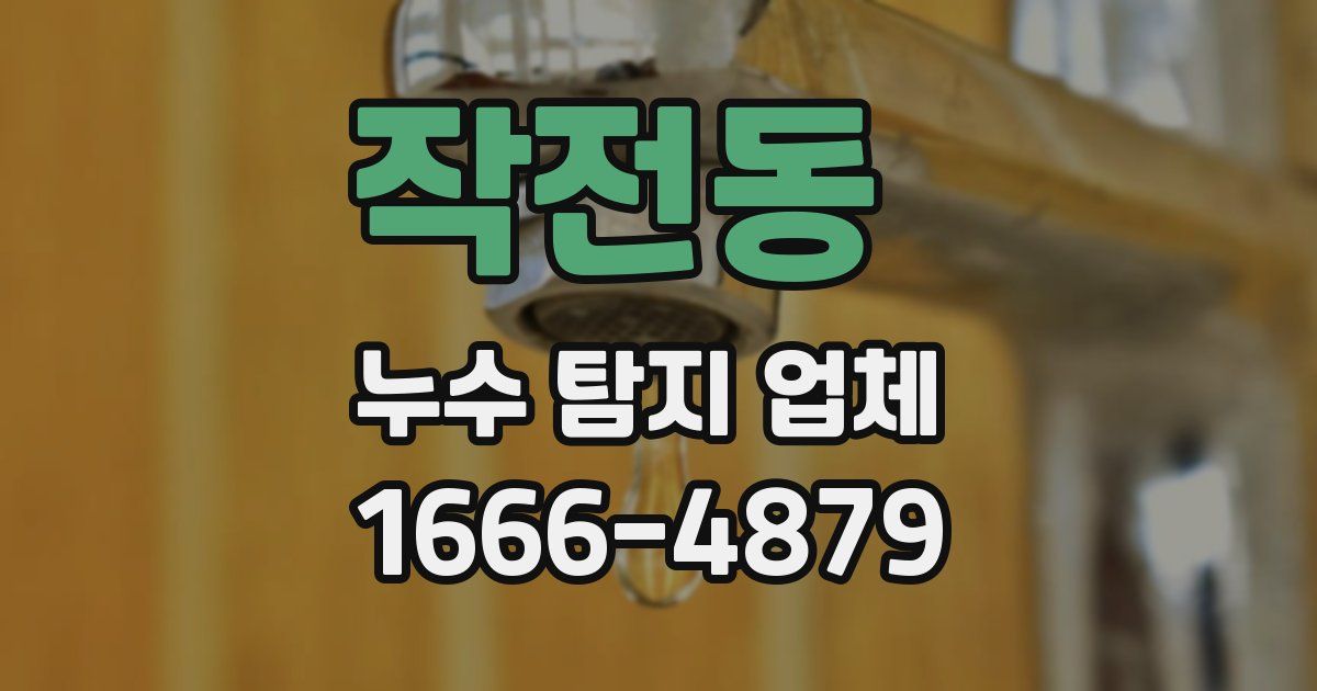 작전동 누수 탐지 업체