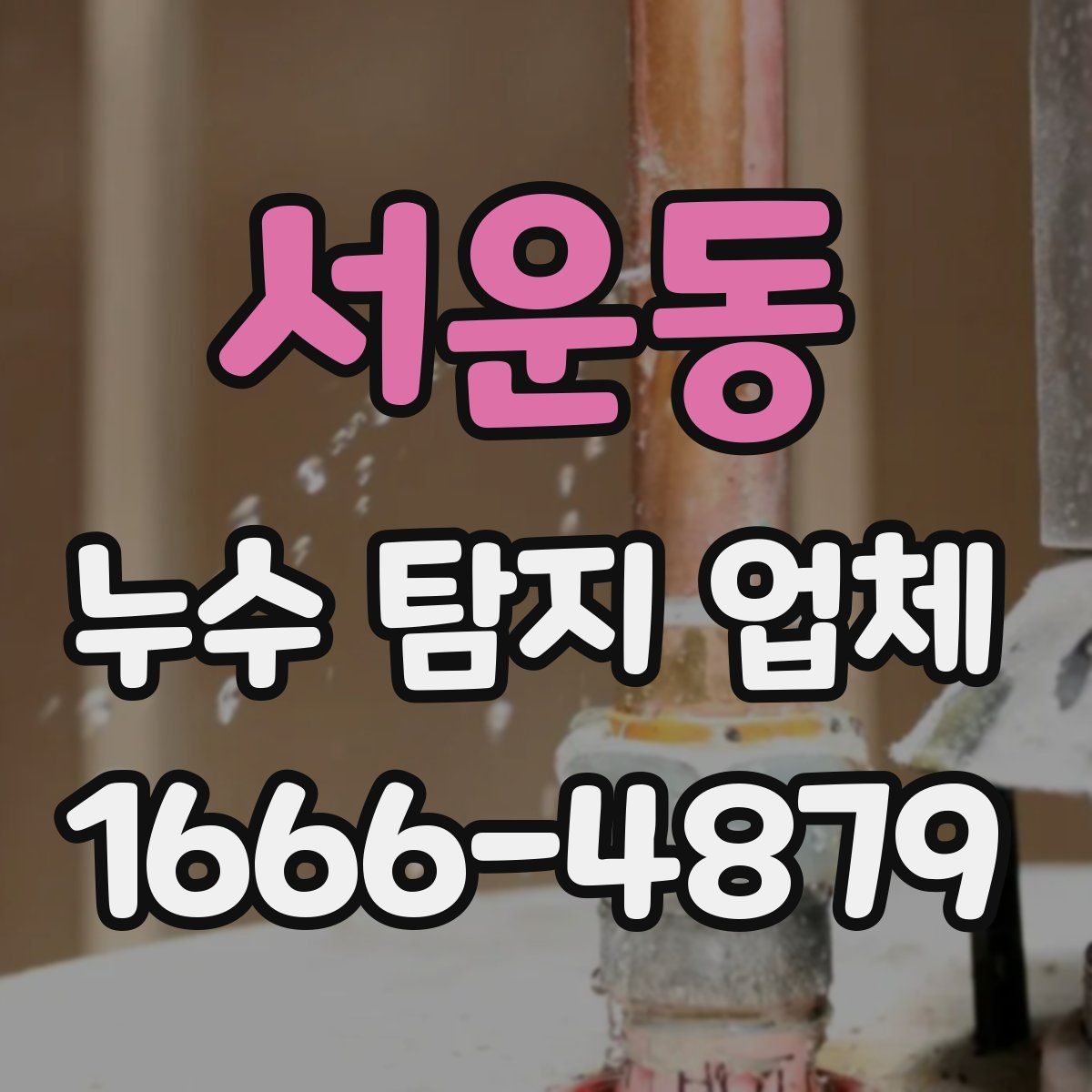 서운동 누수 탐지 업체