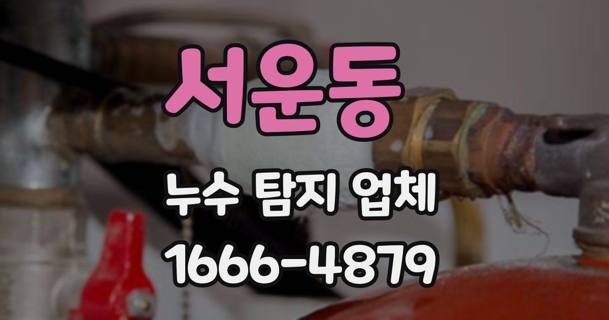 서운동 누수 탐지 업체
