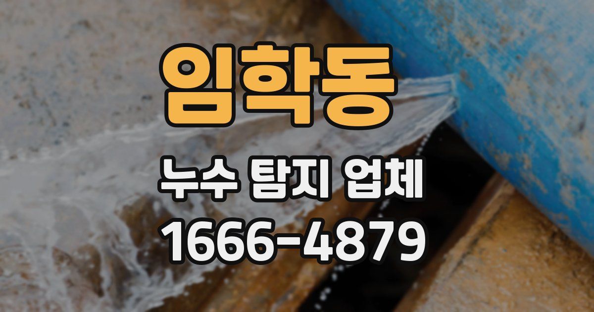임학동 누수 탐지 업체