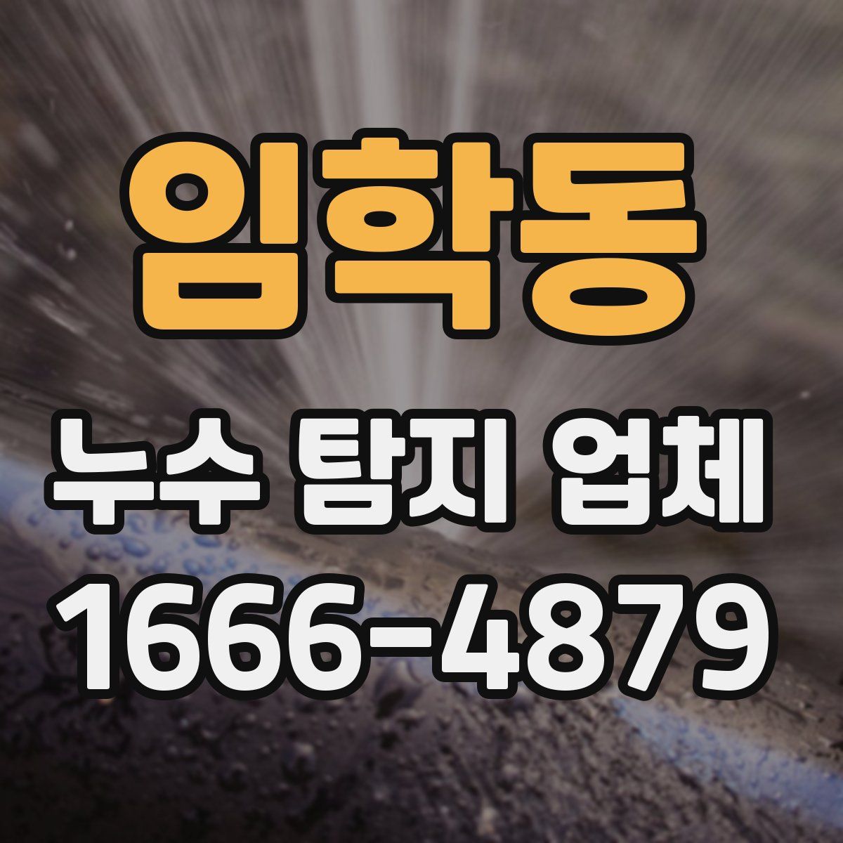 임학동 누수 탐지 업체